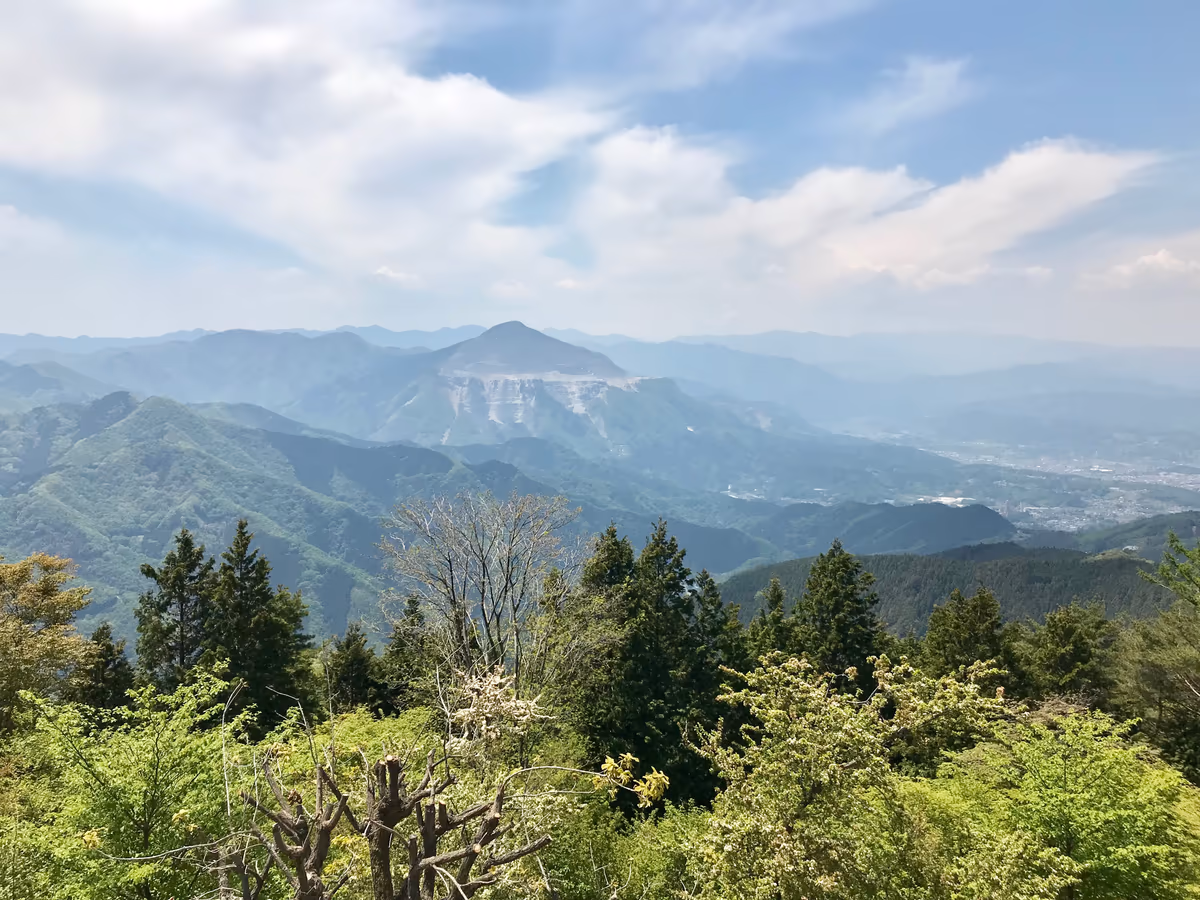投稿写真：武甲山の無残な姿