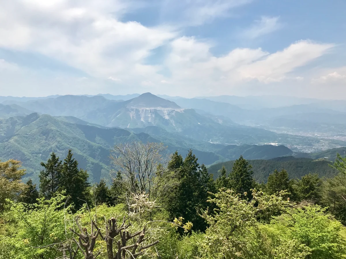 投稿写真：武甲山の無残な姿