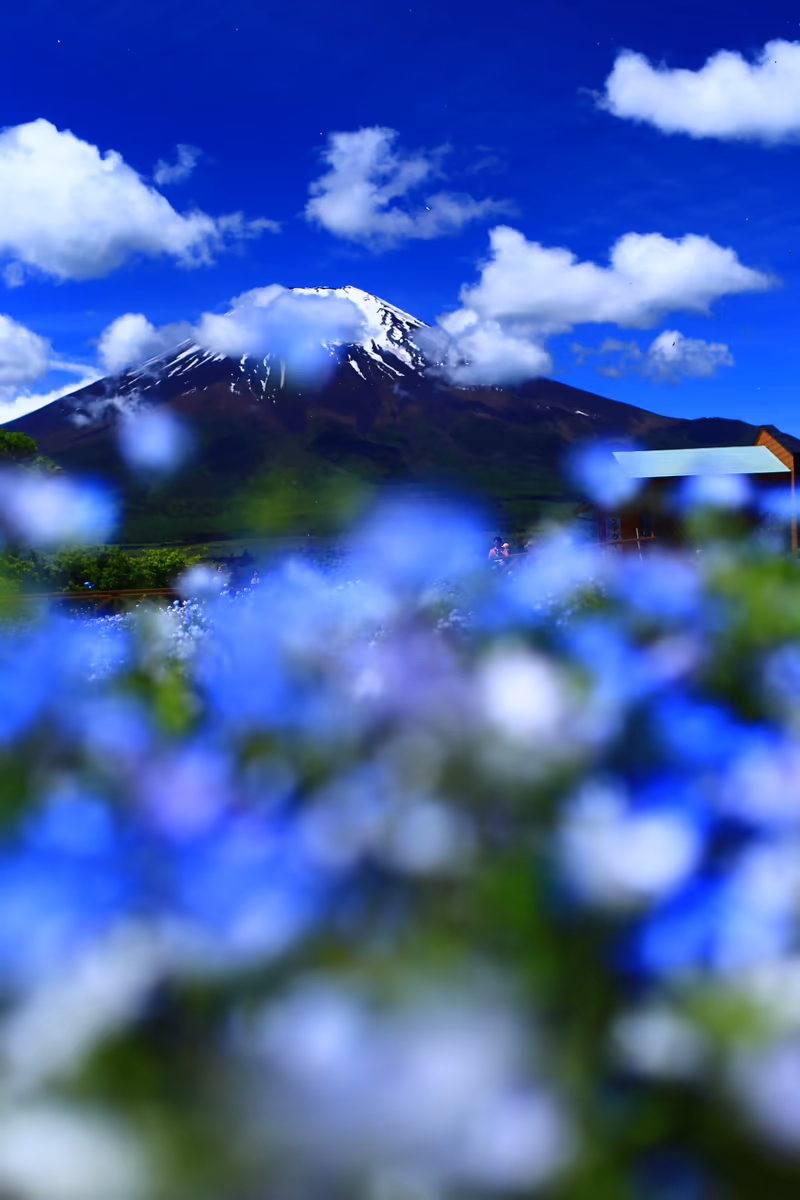 投稿写真：雲がきれるまで！