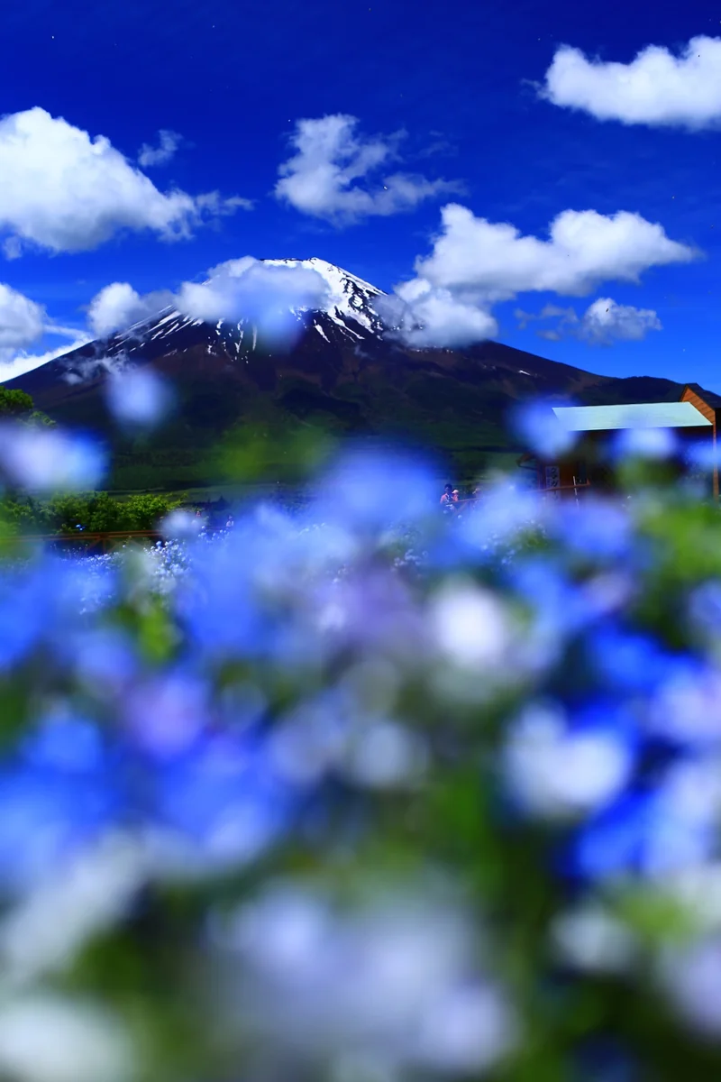 投稿写真：雲がきれるまで！