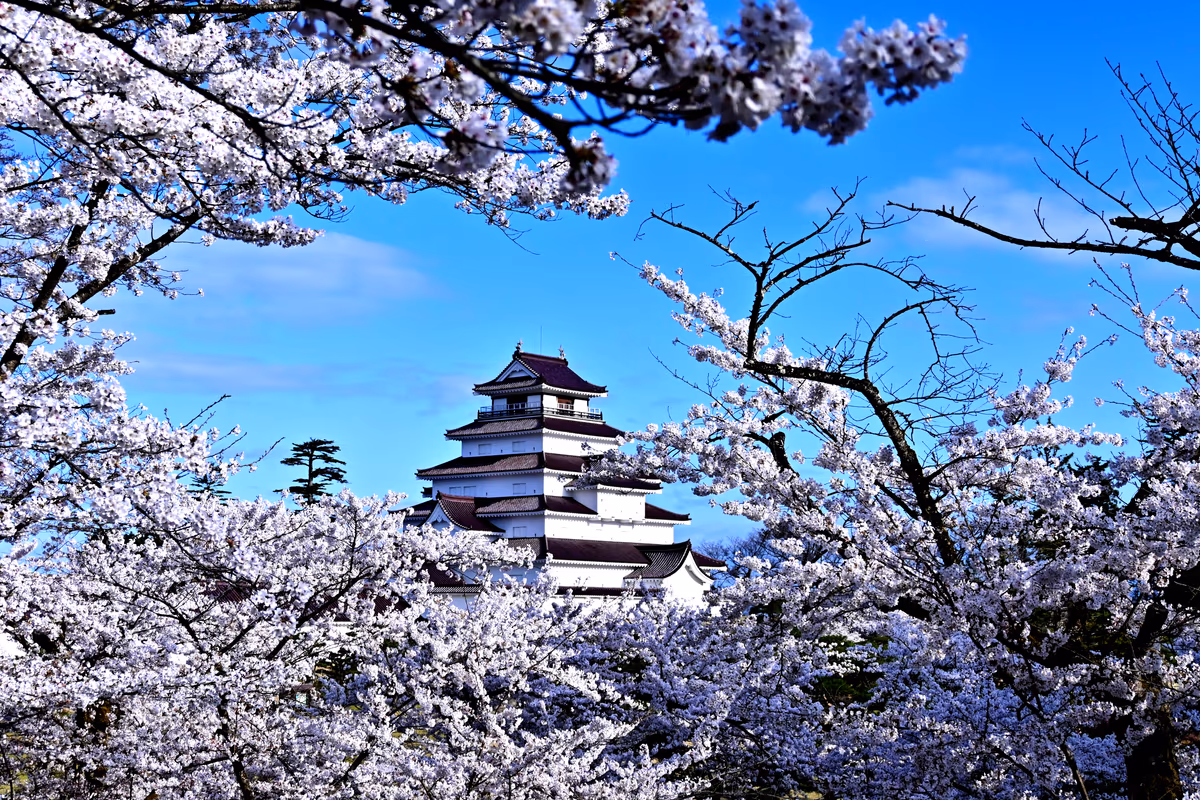 投稿写真：額縁鶴ヶ城