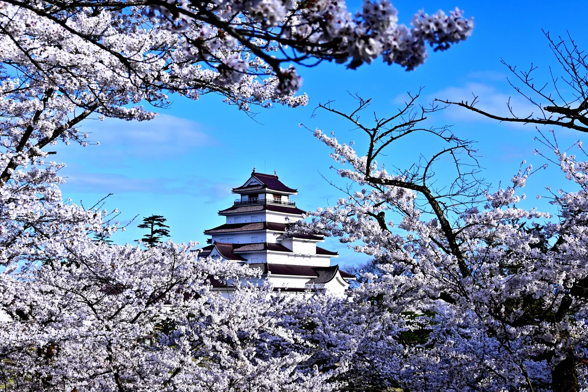 投稿写真：額縁鶴ヶ城