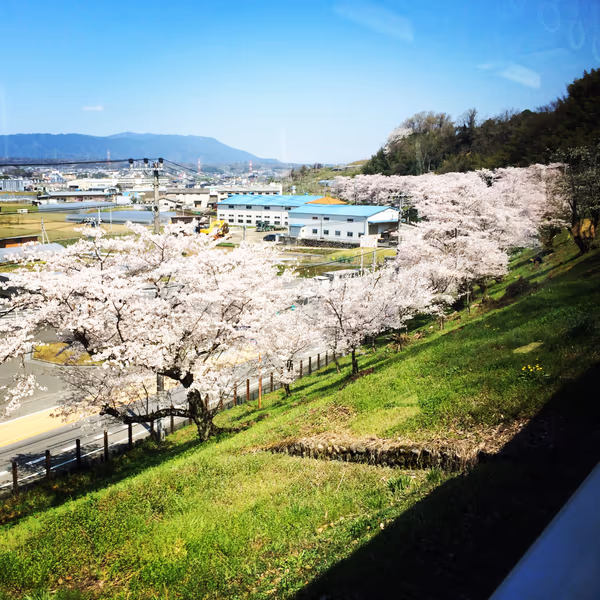 投稿：南海高野線 九度山駅〜学文路駅沿線の桜並木