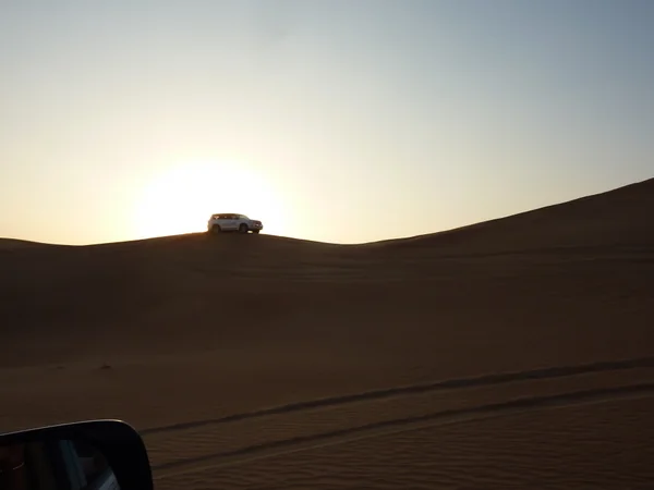 投稿：デザートサファリ