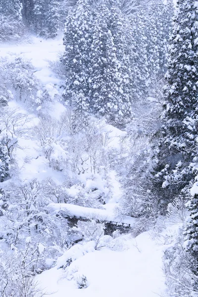 投稿：渓谷の古橋（冬）