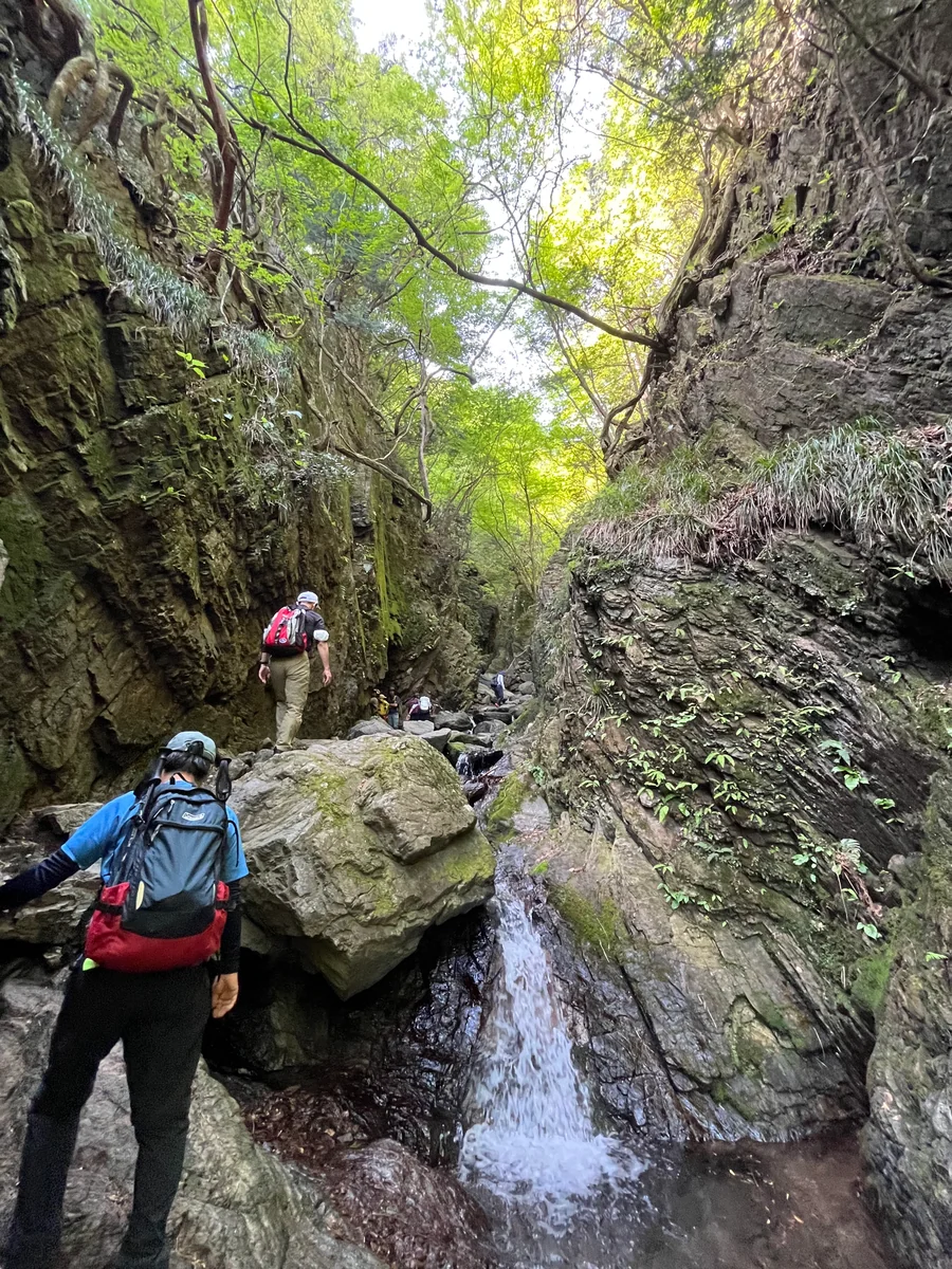 投稿写真：棒ノ折山