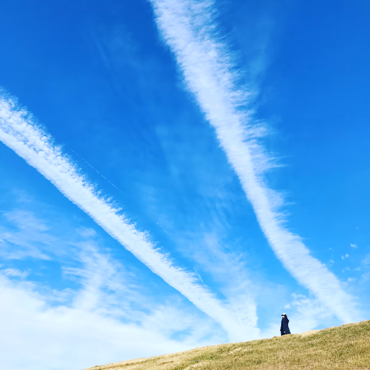 投稿写真：空の道