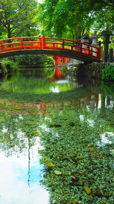  | 絶景事典