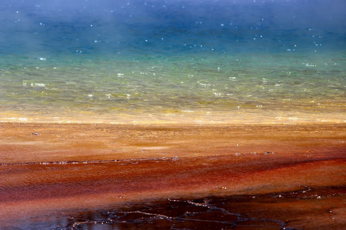 投稿写真：イエローストーン国立公園