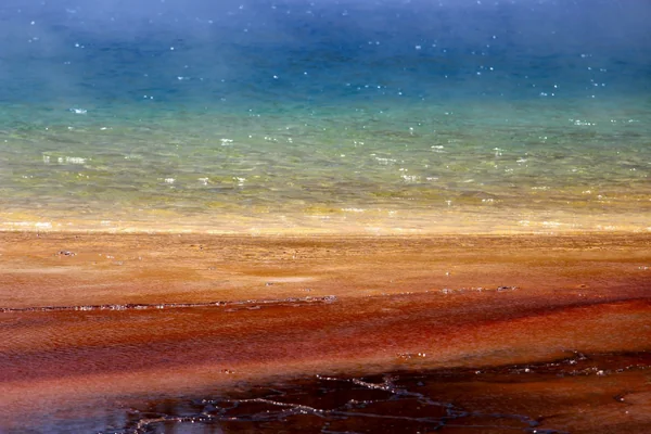 投稿：イエローストーン国立公園