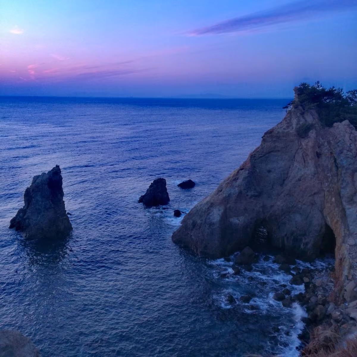 投稿写真：ピンクの世界。西伊豆の夕焼け空
