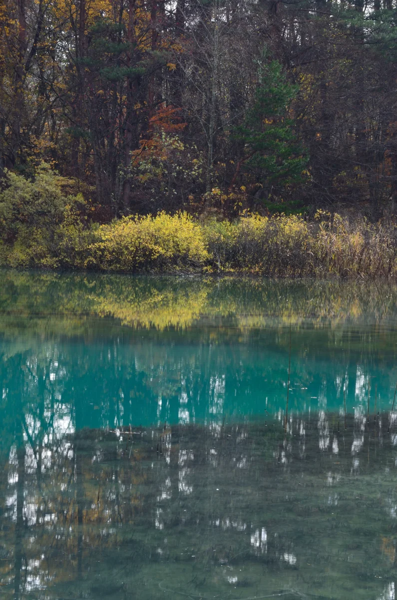 投稿写真：裏磐梯　青池