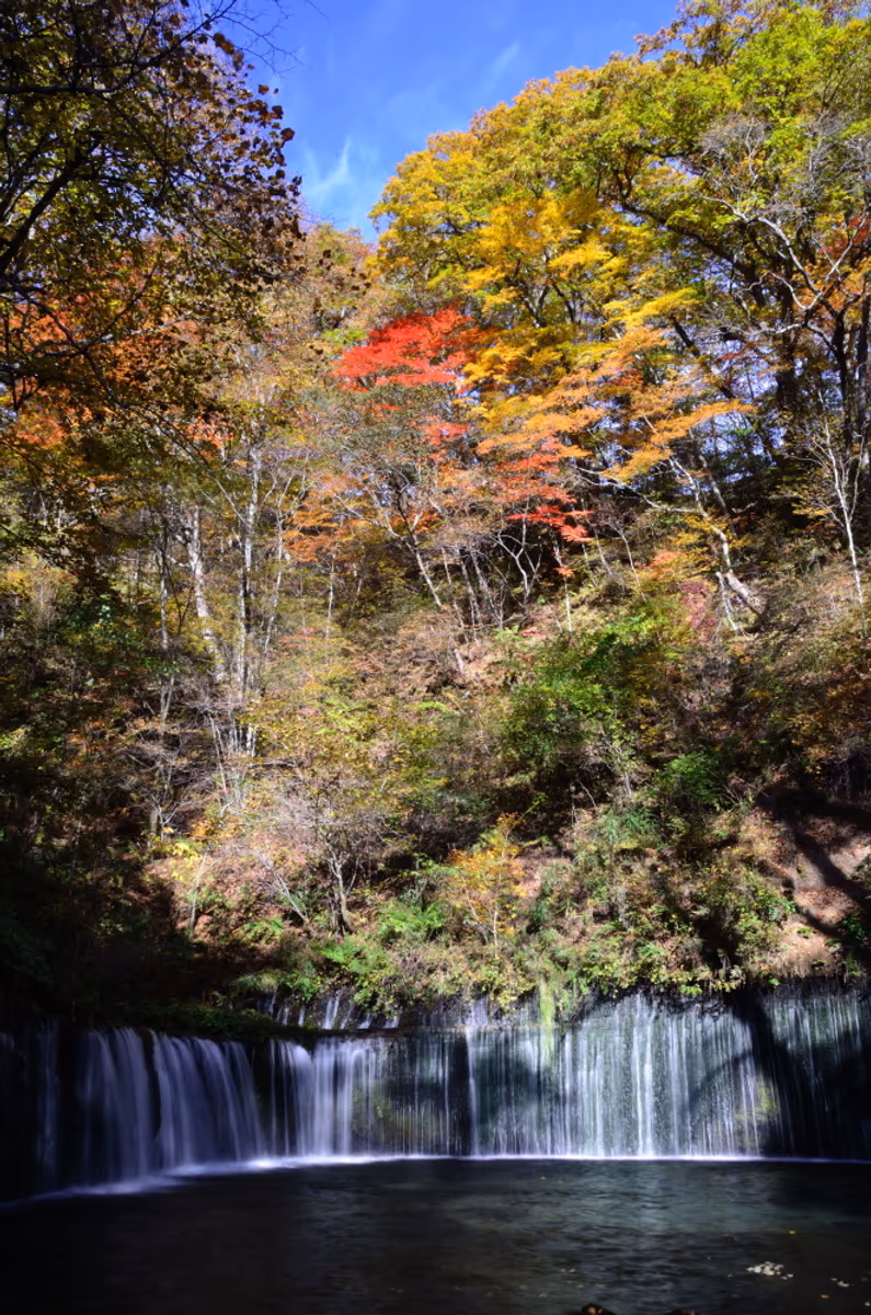 投稿写真：秋の白糸滝