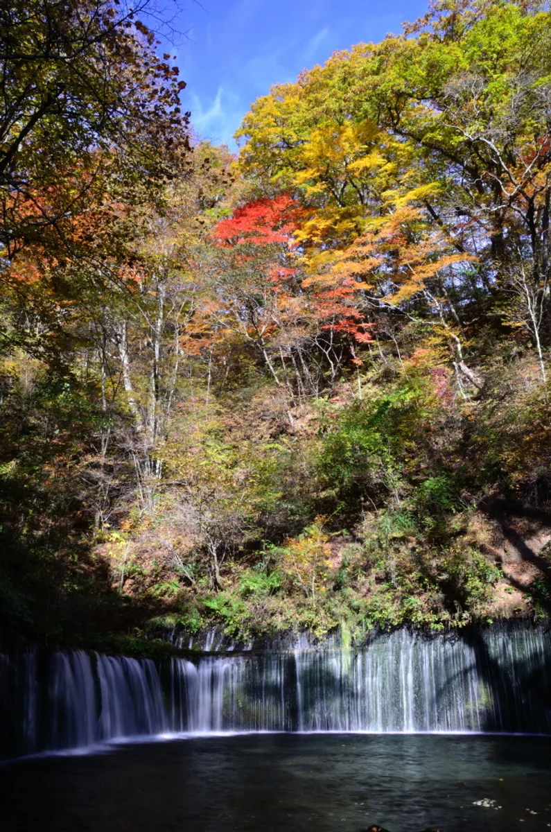 投稿写真：秋の白糸滝