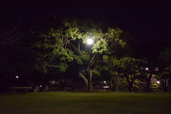 投稿：真夜中の公園