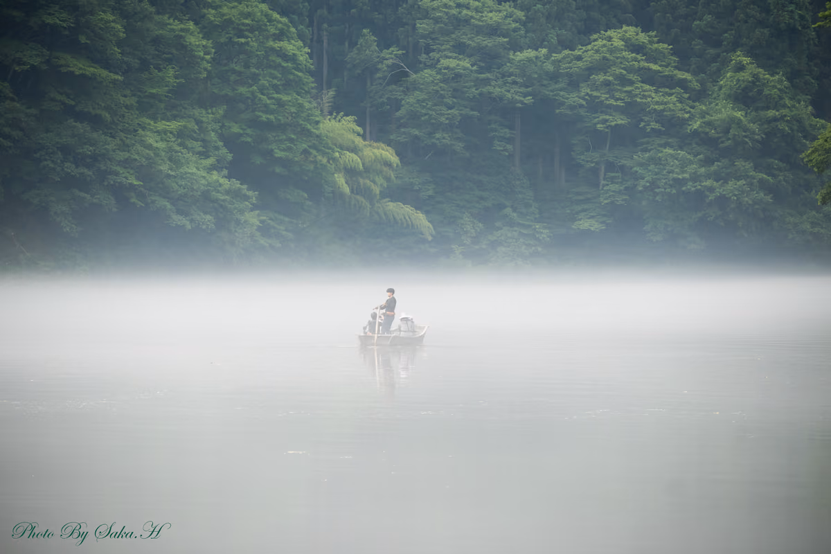投稿写真：霧幻峡