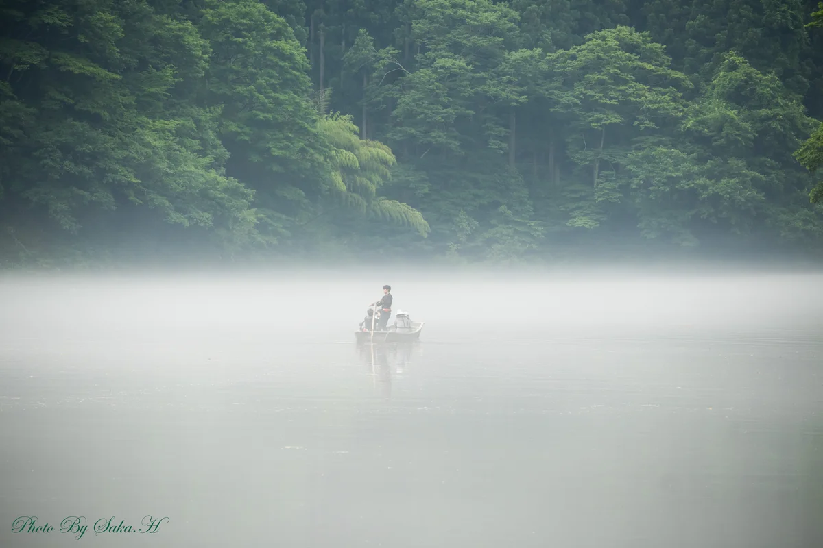 投稿写真：霧幻峡