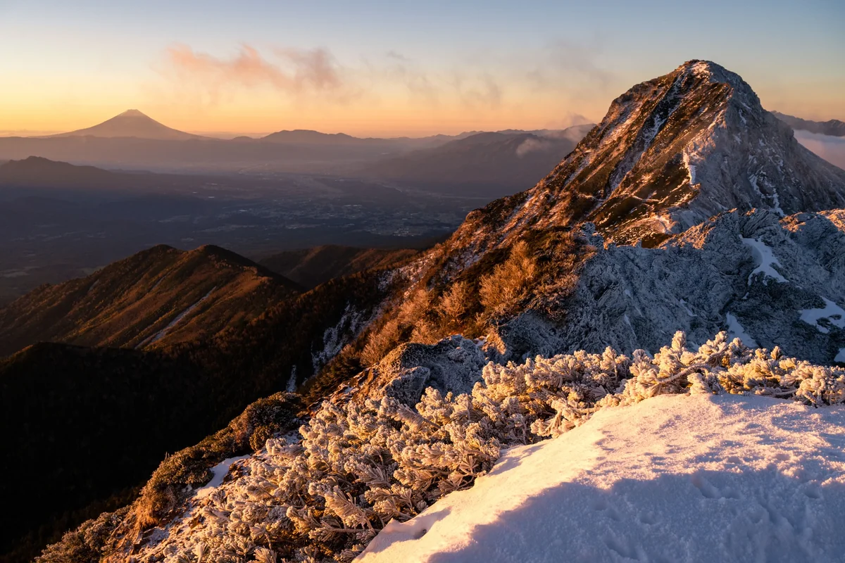 投稿写真：朝光を浴びる
