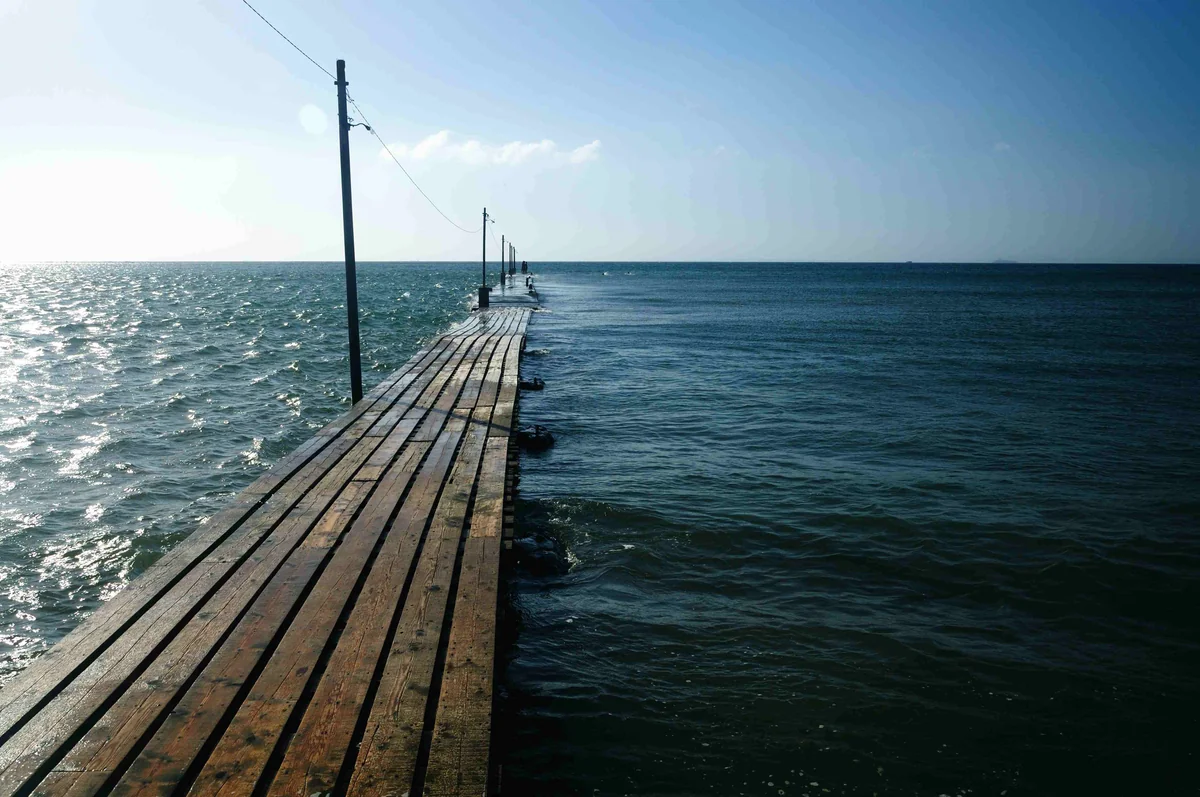 投稿写真：海へ