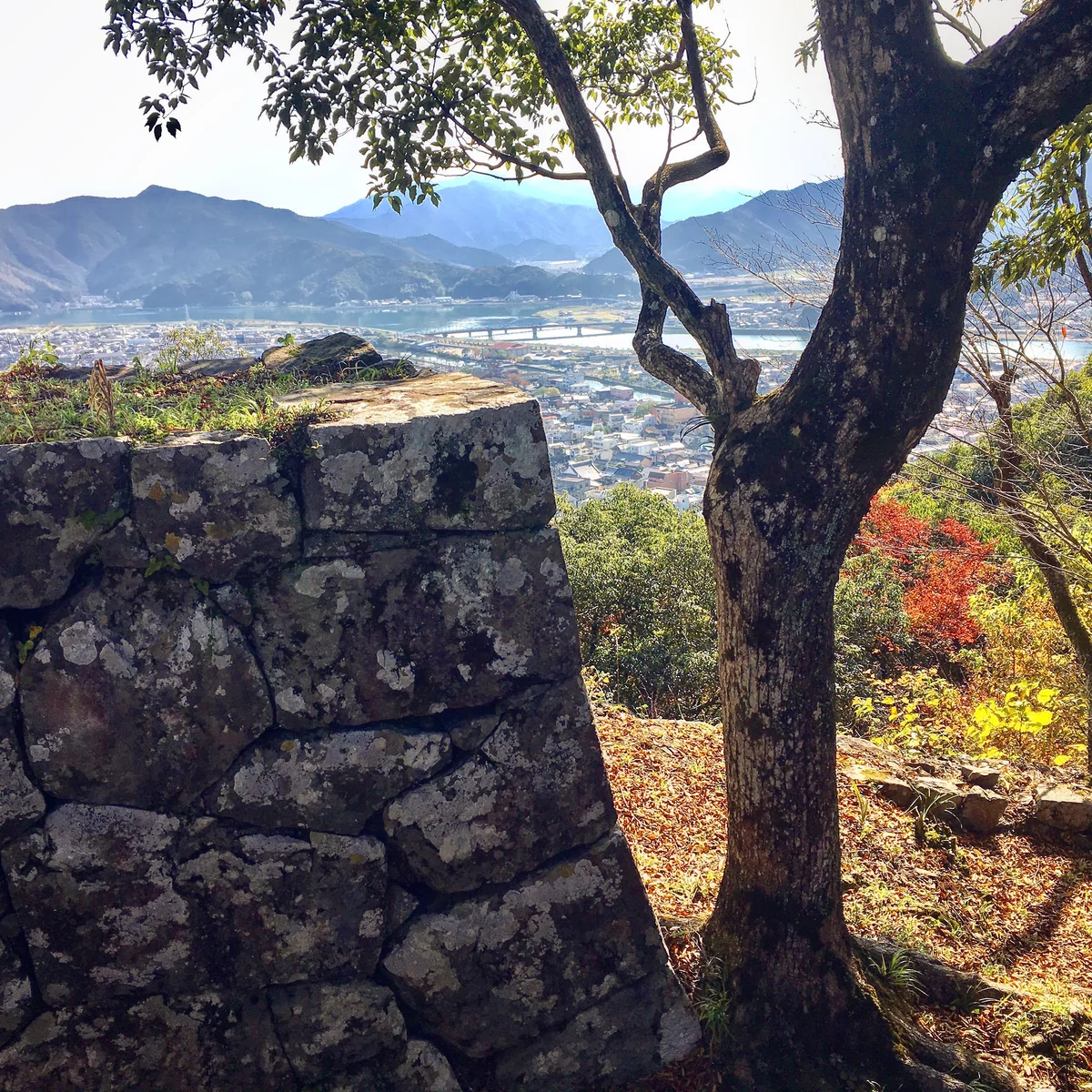 投稿写真：佐伯城