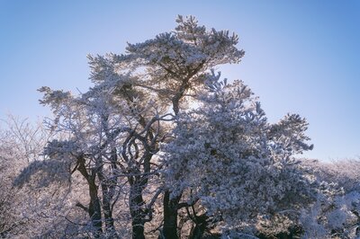  | 絶景事典