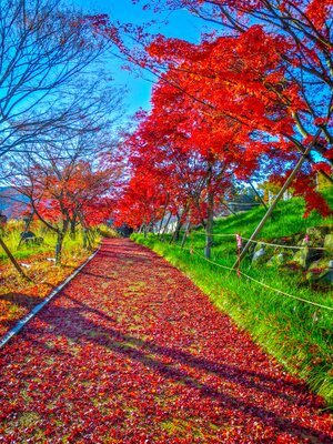  | 絶景事典