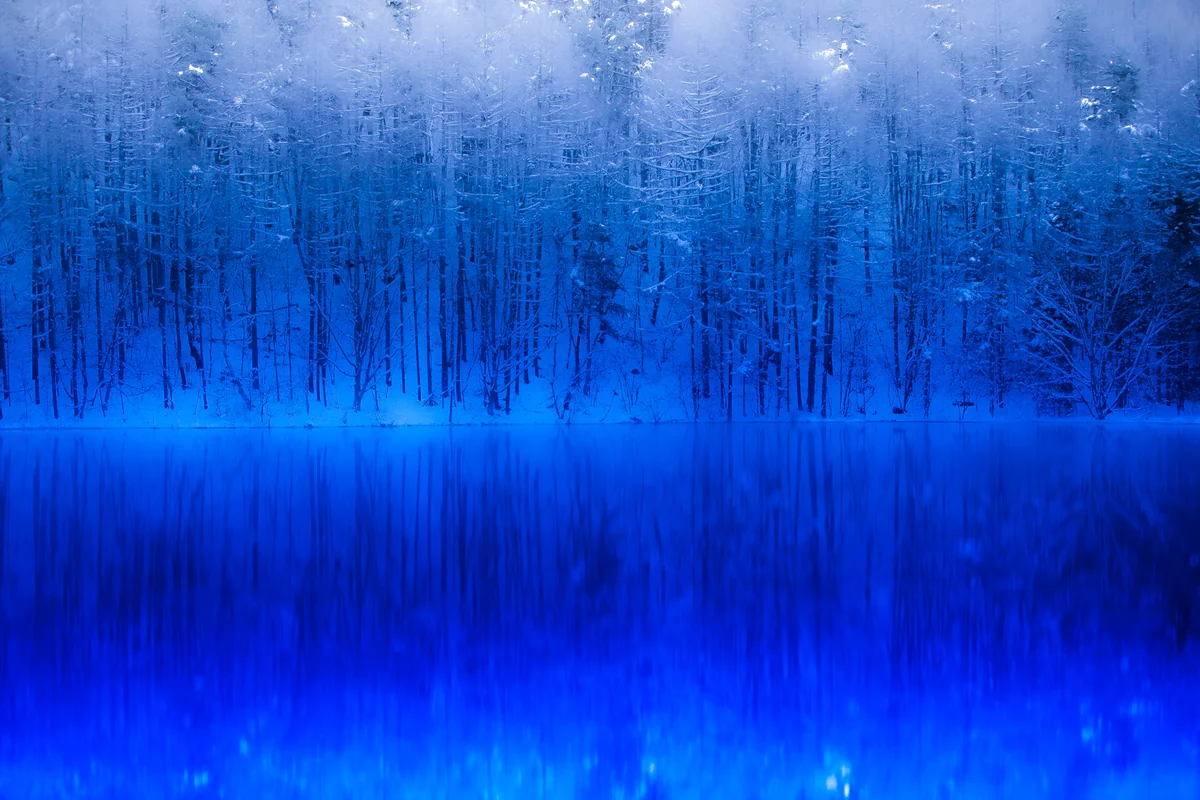 投稿写真：冬の御射鹿池