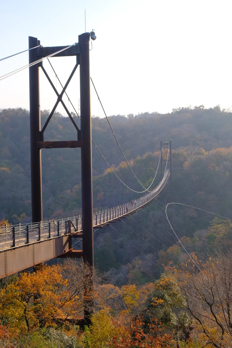 投稿写真：京阪神で随一の本格吊り橋 - 星のブランコ -