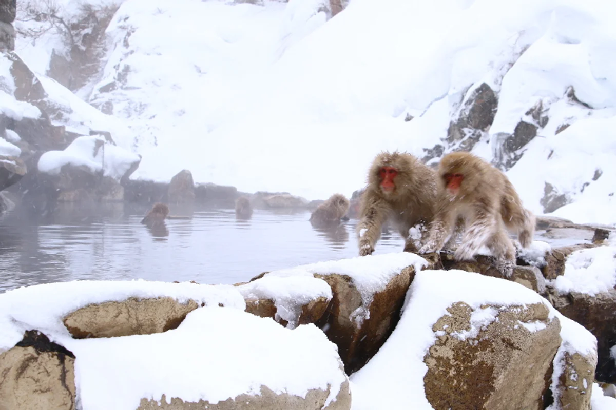 ゆうちょさんの投稿写真