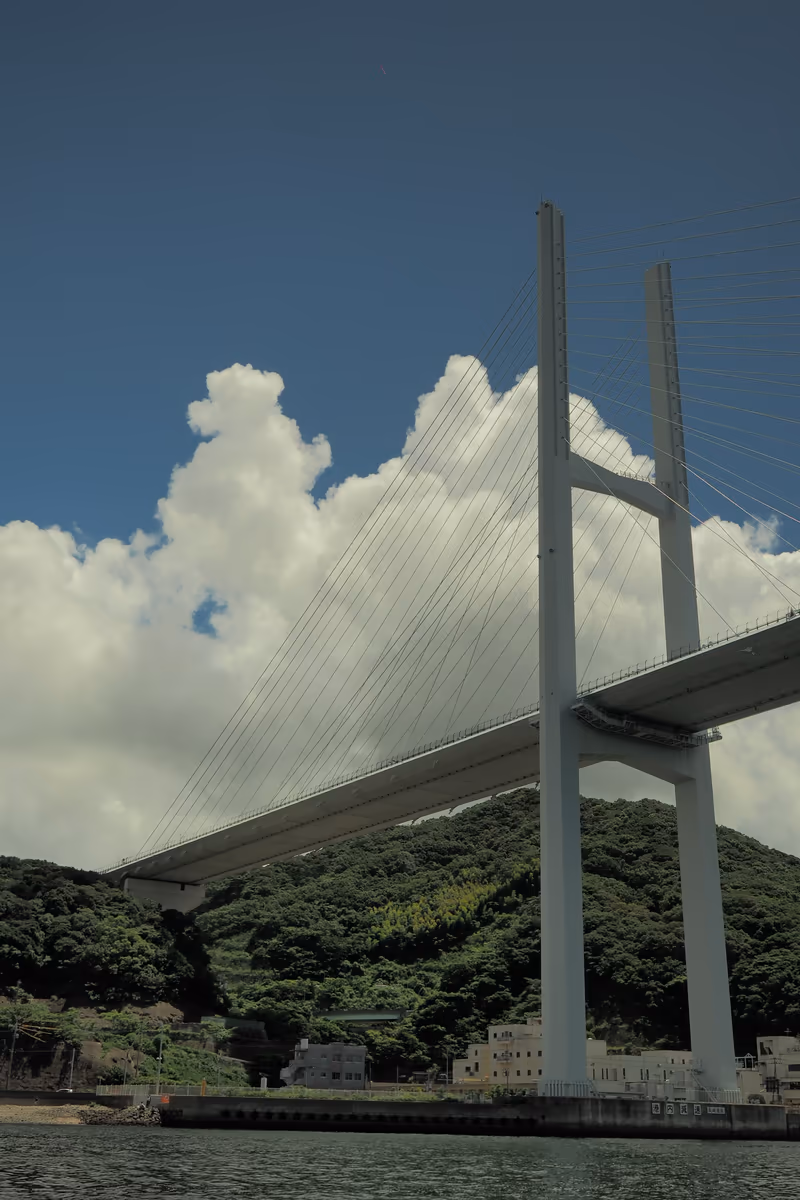 投稿写真：女神大橋