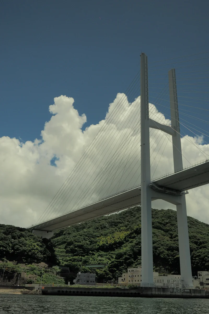 投稿写真：女神大橋