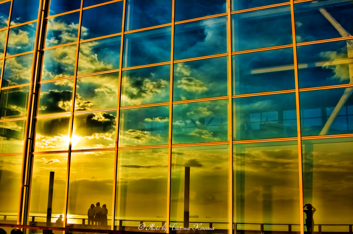 投稿写真：Sunlight shining in the evenin