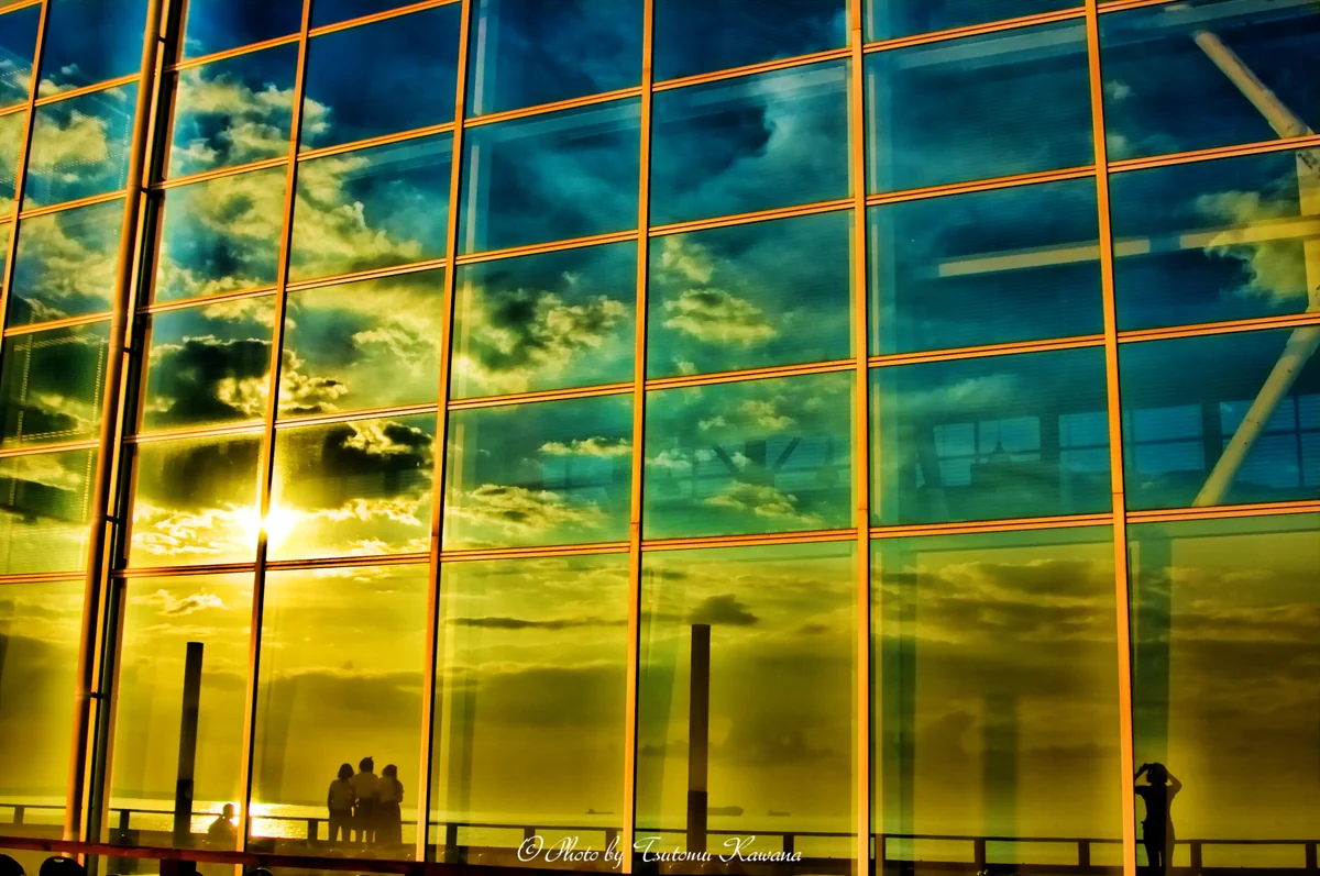 投稿写真：Sunlight shining in the evenin