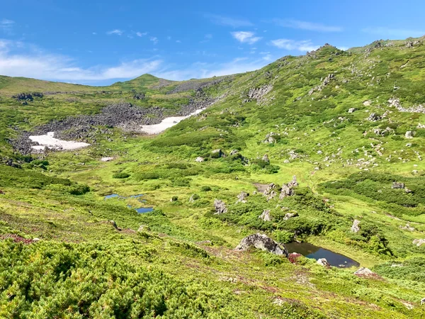 投稿：トムラウシ公園