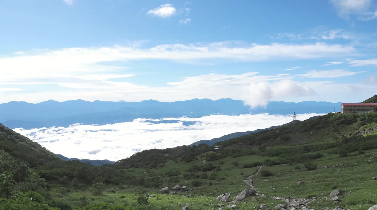 投稿写真：雲海の上の千畳敷カール（富士山を確認！）