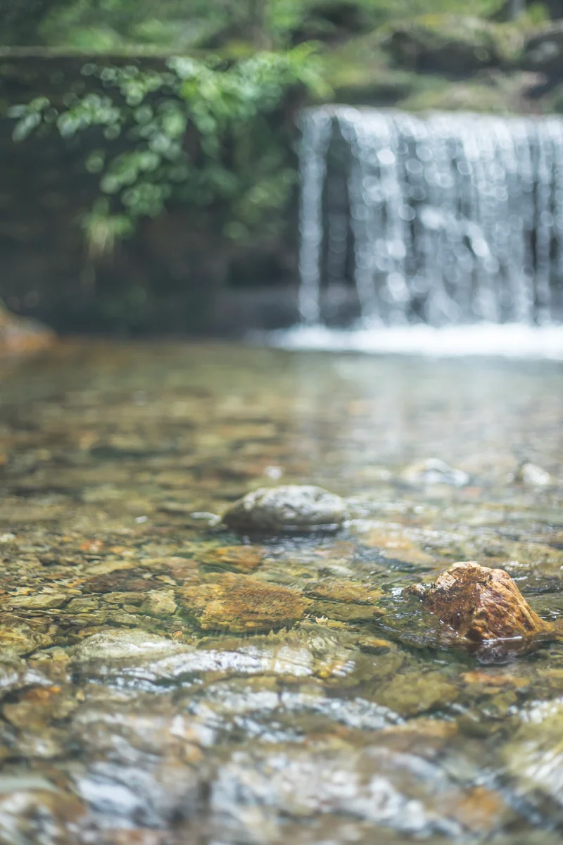 投稿写真：さらさらと〜