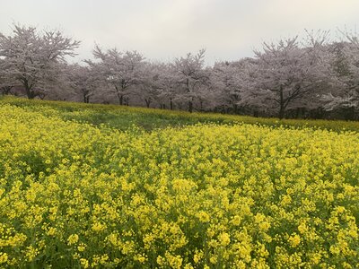  | 絶景事典