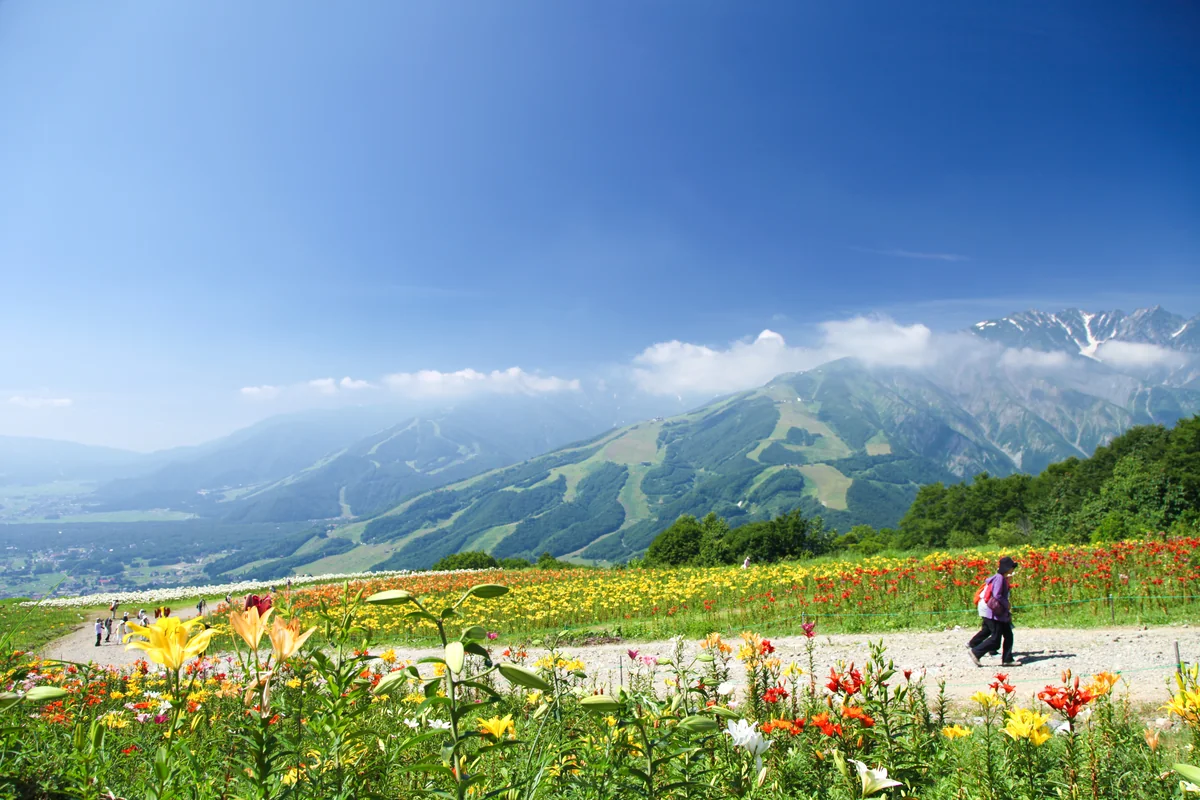 投稿写真：岩岳