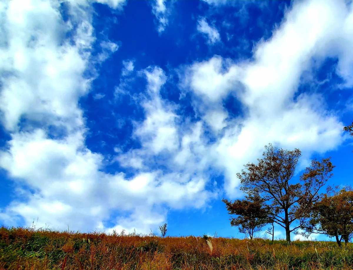 投稿写真：小萩山の空