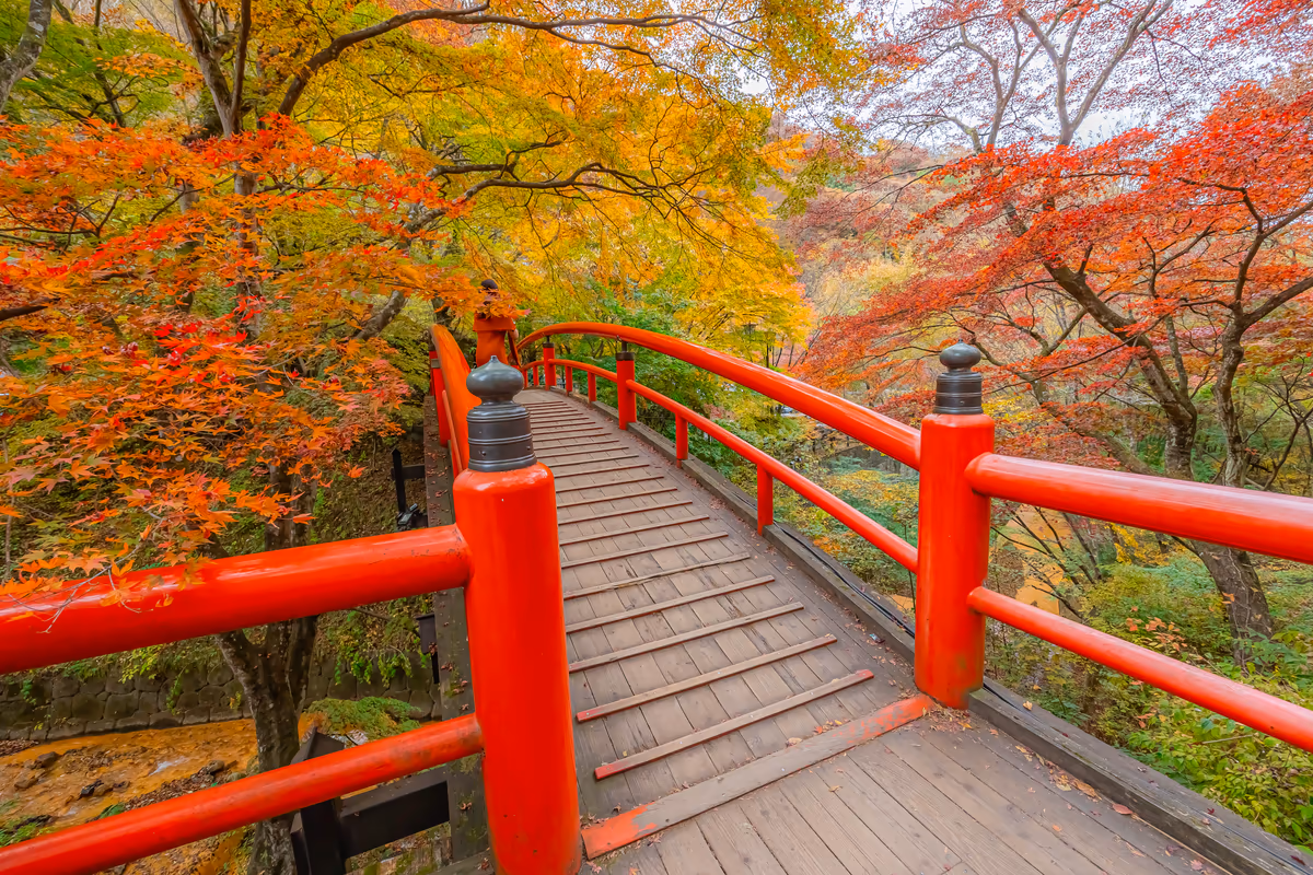 投稿写真：紅葉と河鹿橋