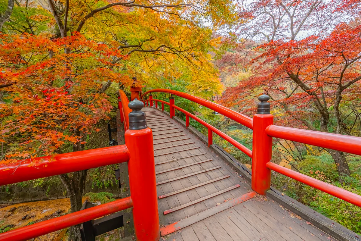 投稿写真：紅葉と河鹿橋
