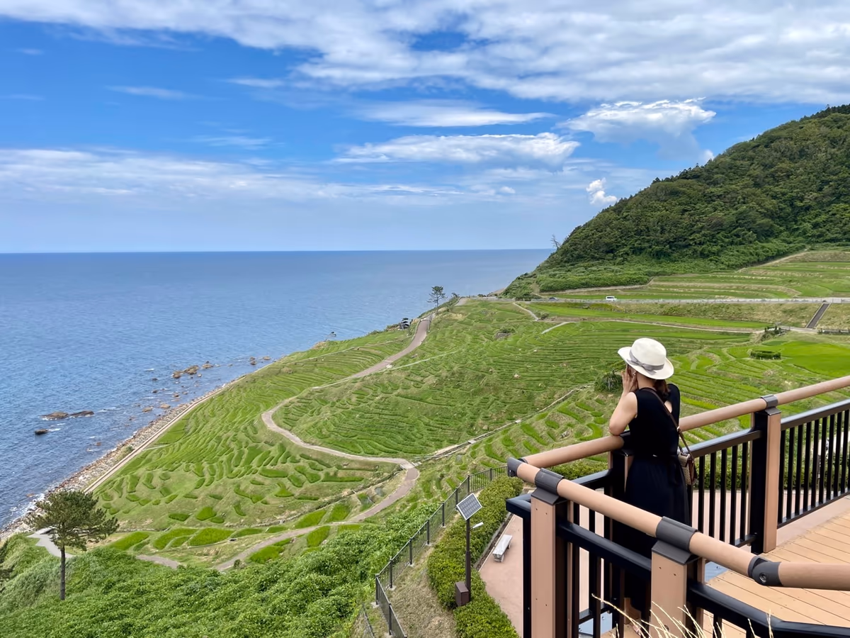 投稿写真：能登半島　白米千枚田♪