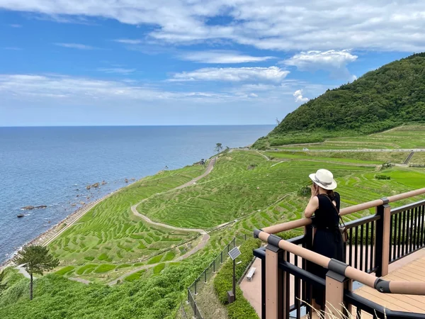 投稿：能登半島　白米千枚田♪