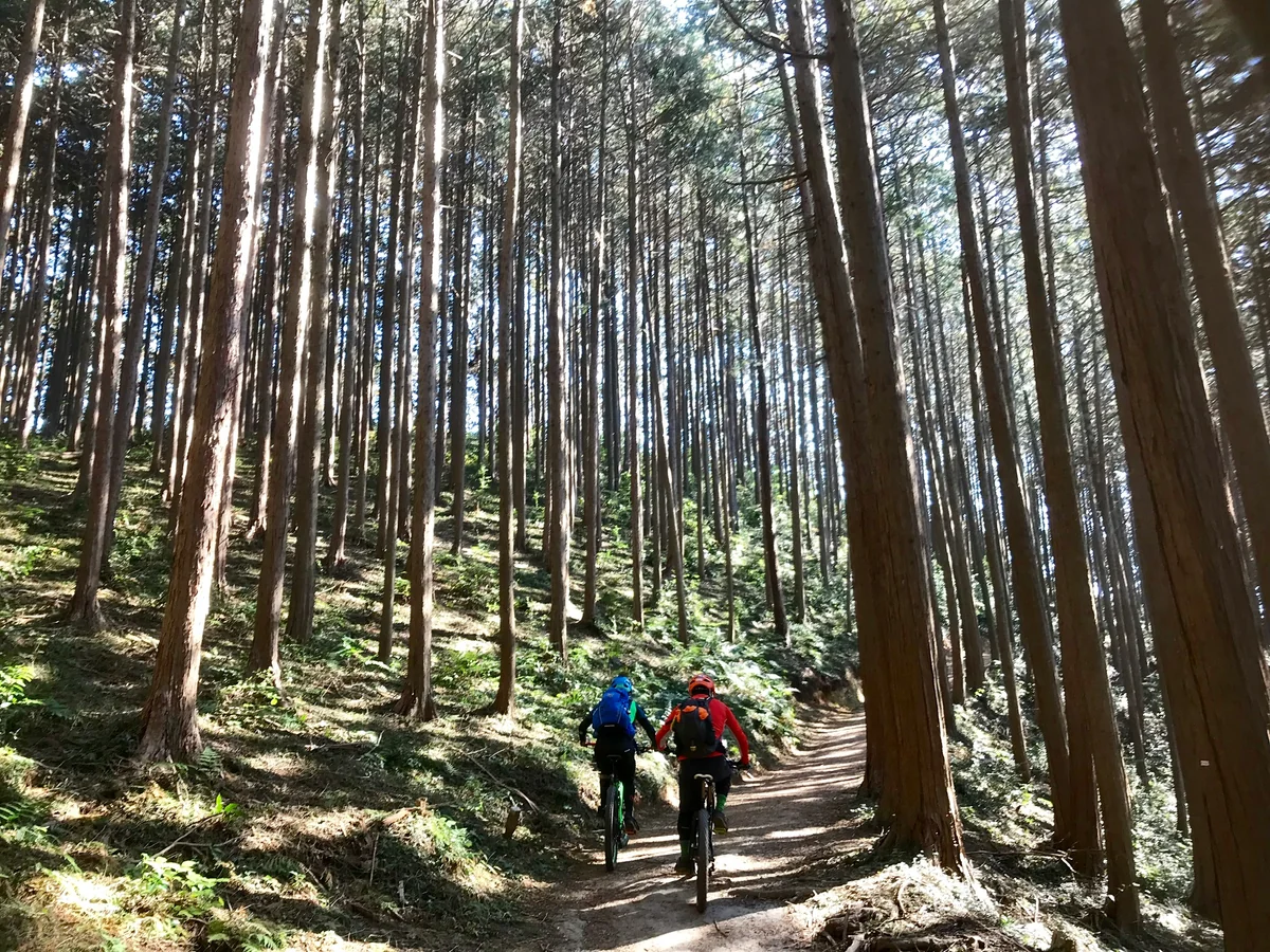 投稿写真：MTB