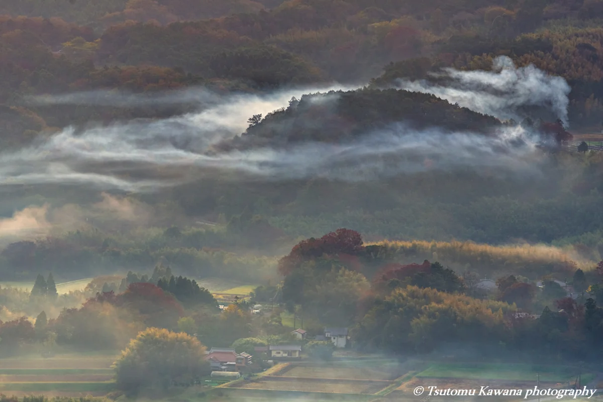投稿写真：晩秋の朝もやに房総里山も染まるなり。