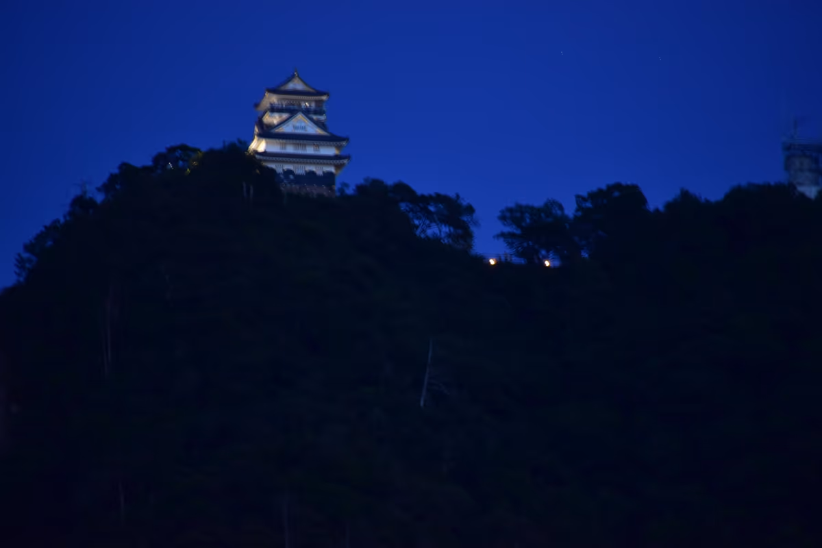 投稿写真：岐阜城