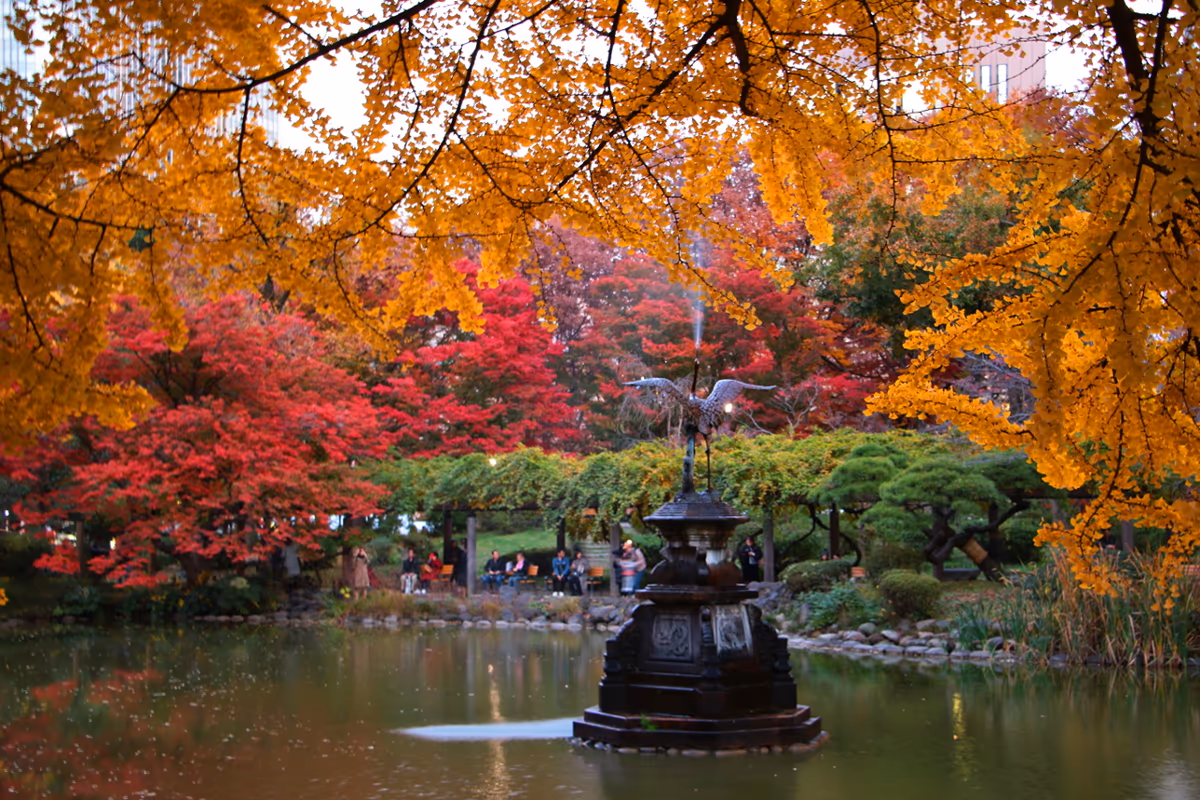 投稿写真：晩秋の東京