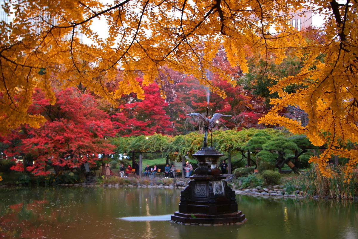 投稿写真：晩秋の東京