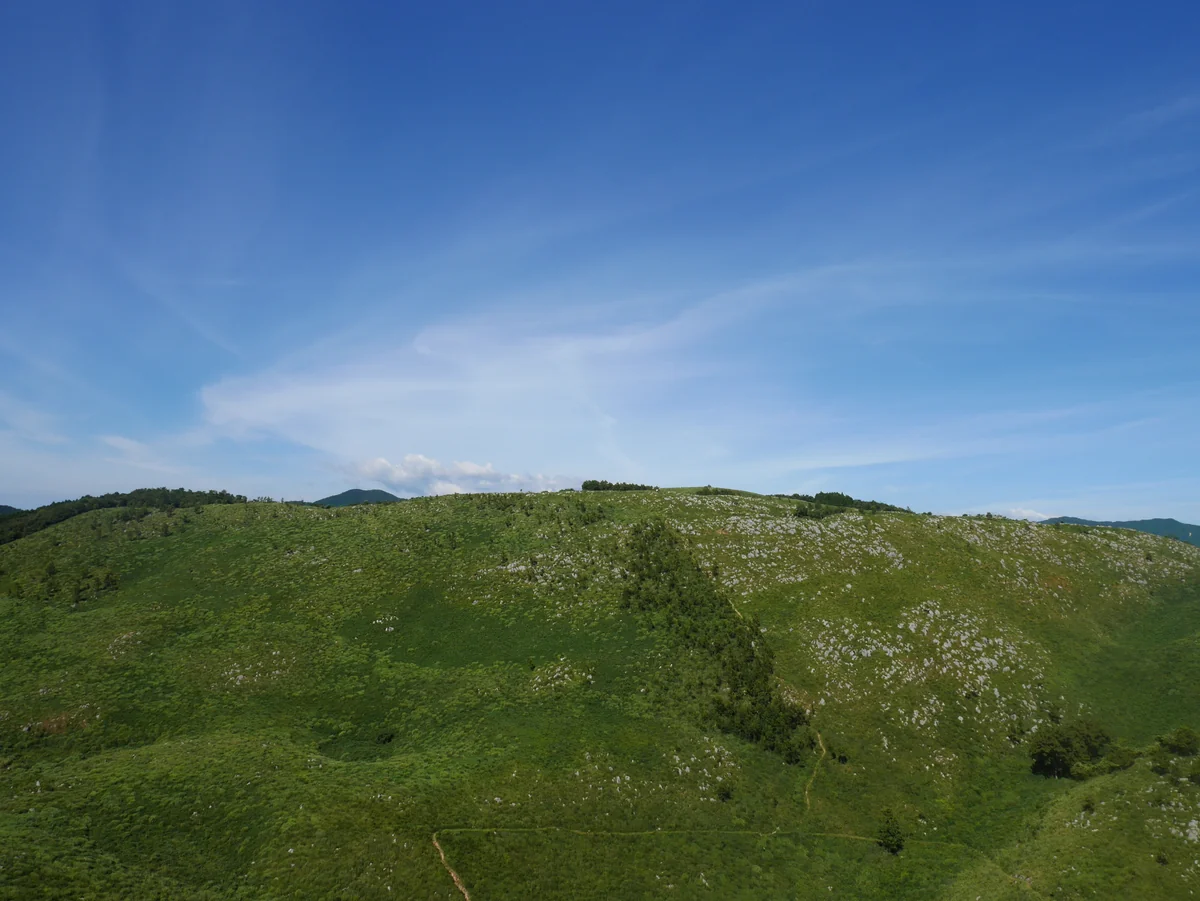 投稿写真：140秋吉台（山口）