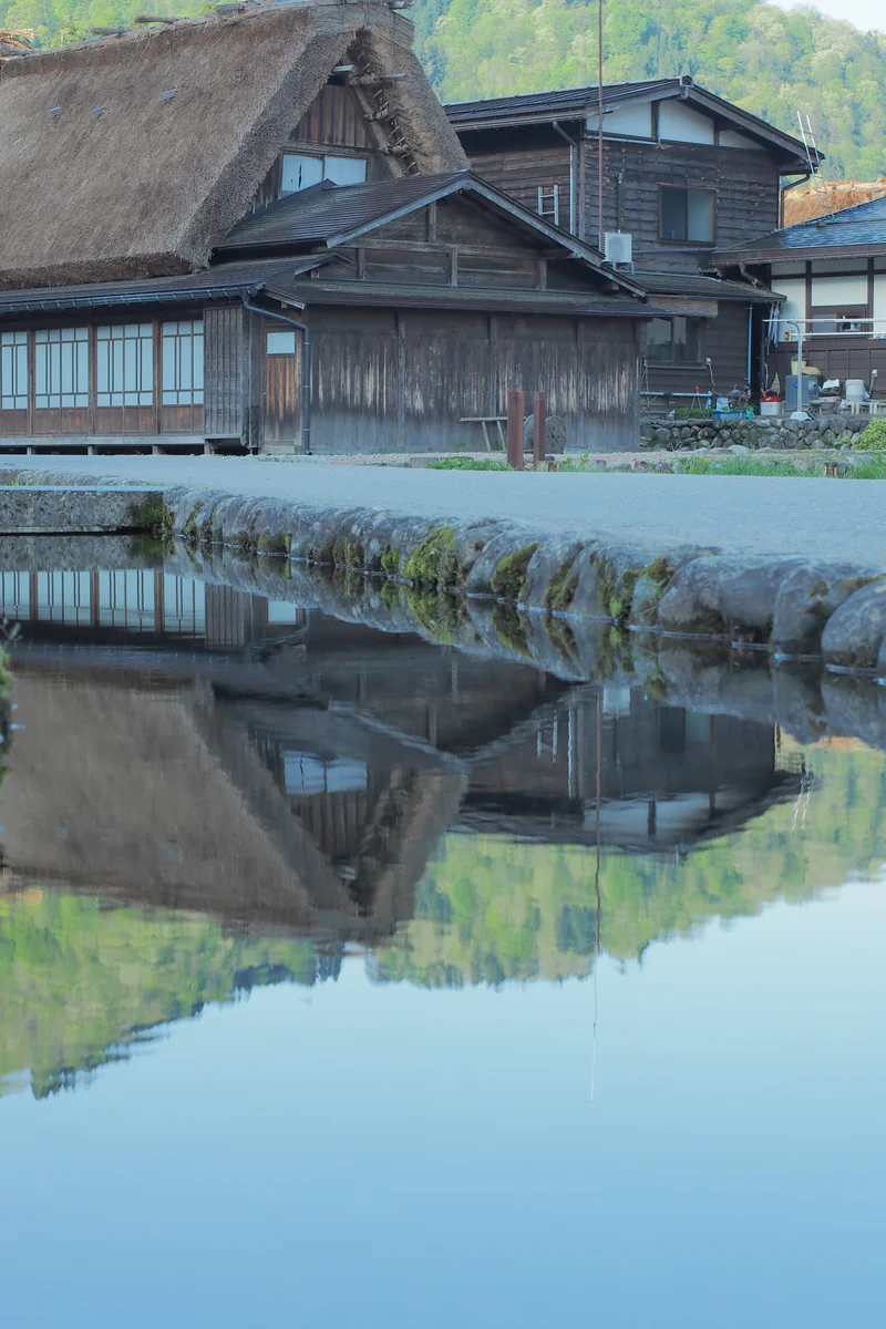 投稿写真：水路